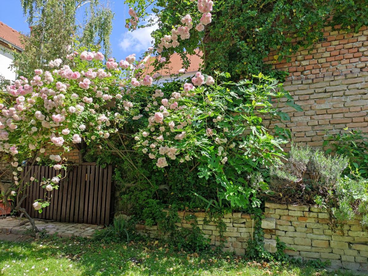 Patak28 Apartmanok Sopron Eksteriør billede
